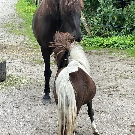 Apartmán Obermuehlhof