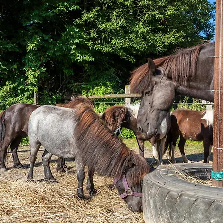 Obermuehlhof * Saalfelden