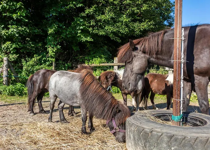 Obermuehlhof * Saalfelden